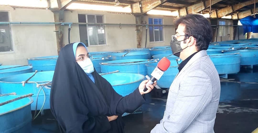 پایان طرح استفاده از ریزجلبک اسپیرولینا در تغذیه بچه ماهیان خاویاری