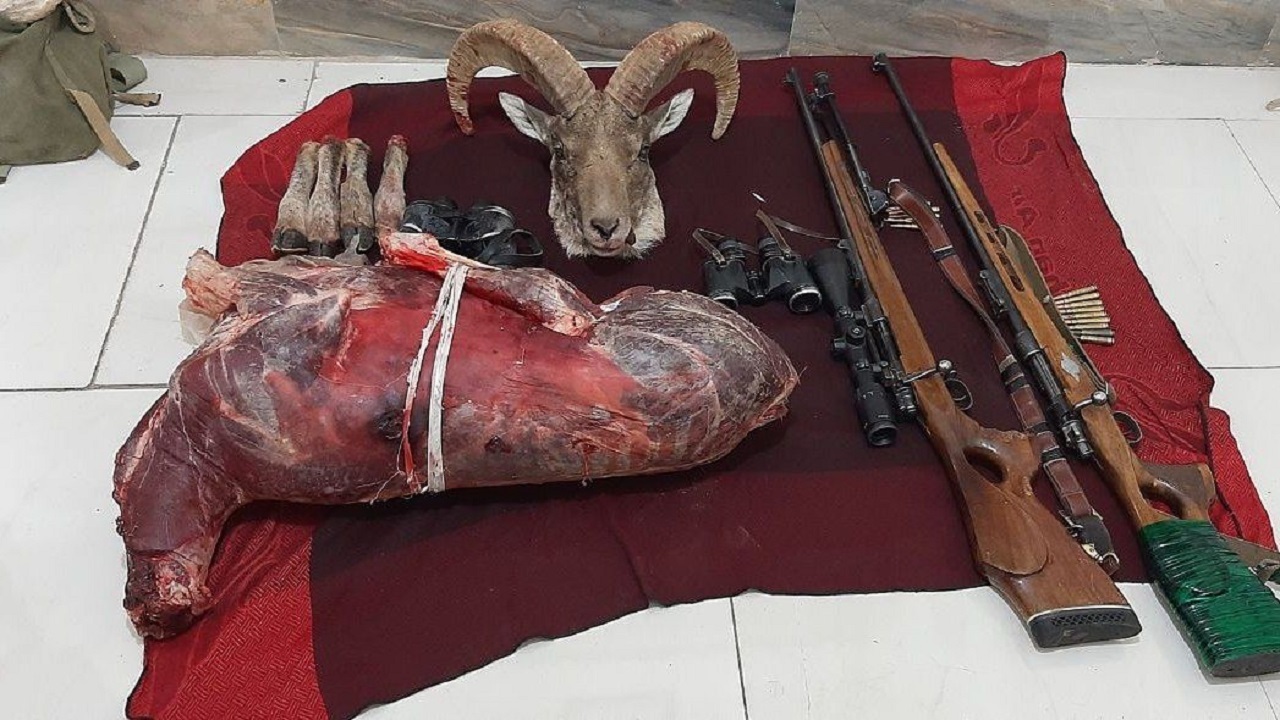 کشف لاشه یک راس قوچ از منزل مسکونی در همدان