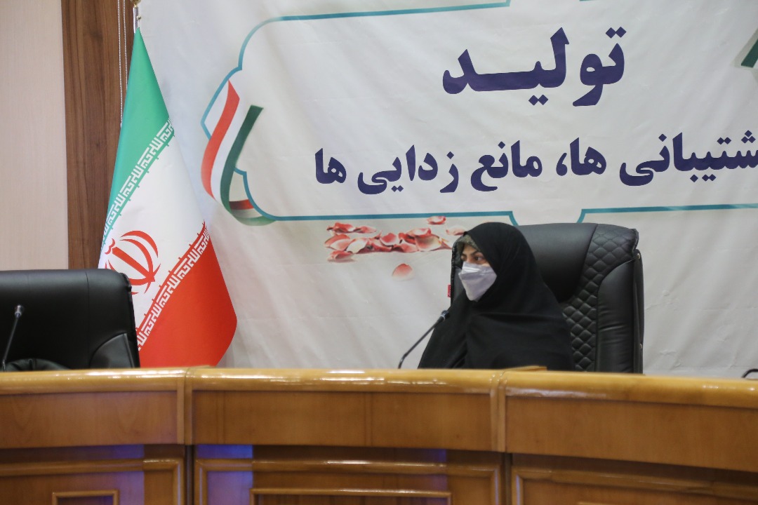 ضرورت حمایت سازمان‌ها از باشگاه دختران جوان در شیراز