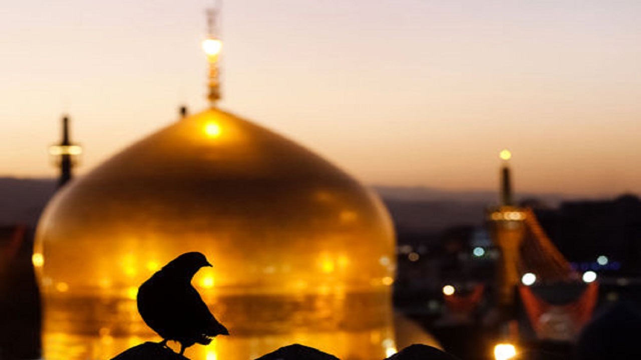 امام رضا(ع)؛ روایت مهربانی و الگوی مهرورزی/ چرا به شمس الشموس ضامن آهو می گویند؟