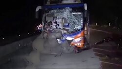 عاقبت سبقت گرفتن پراید در جاده مه آلود + فیلم