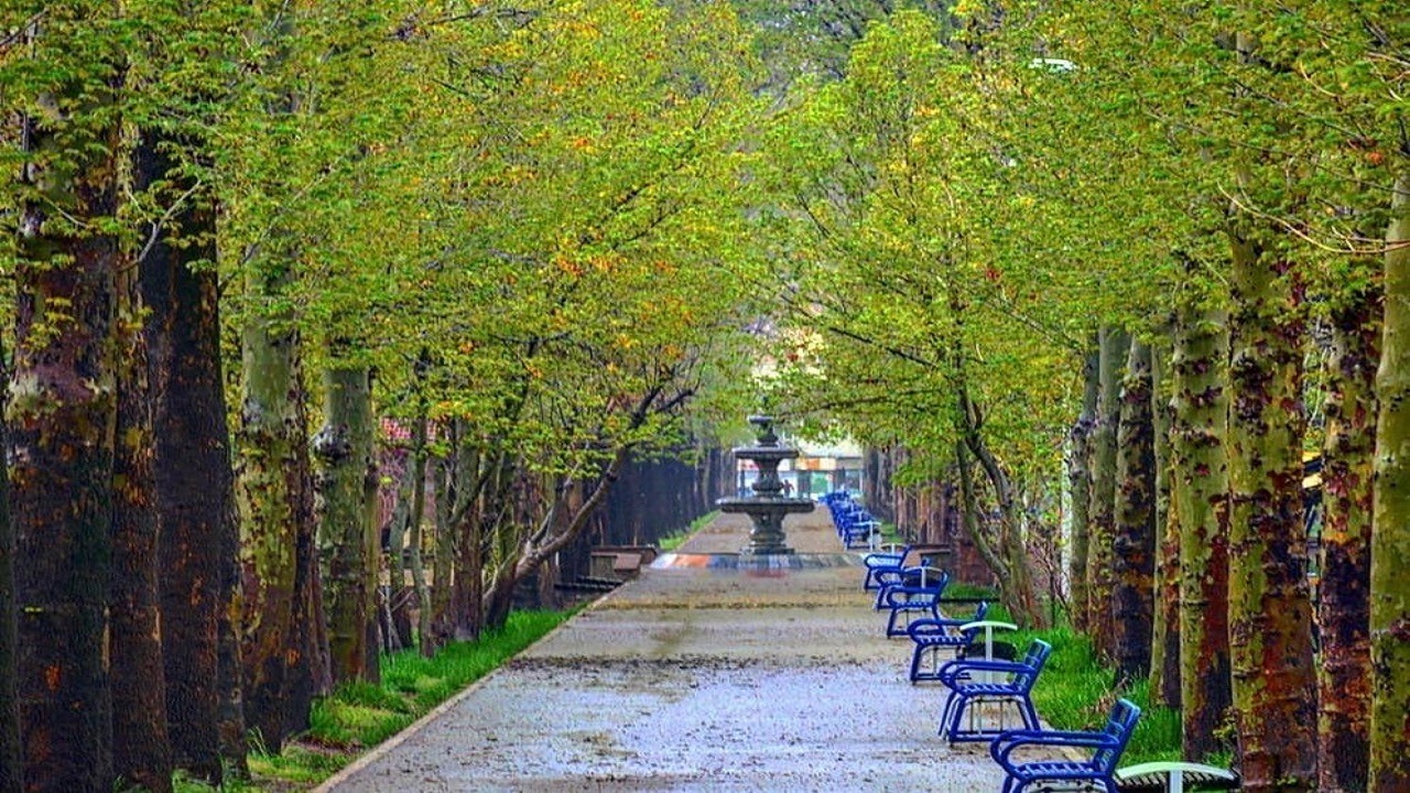 درختان کهنسال کرج