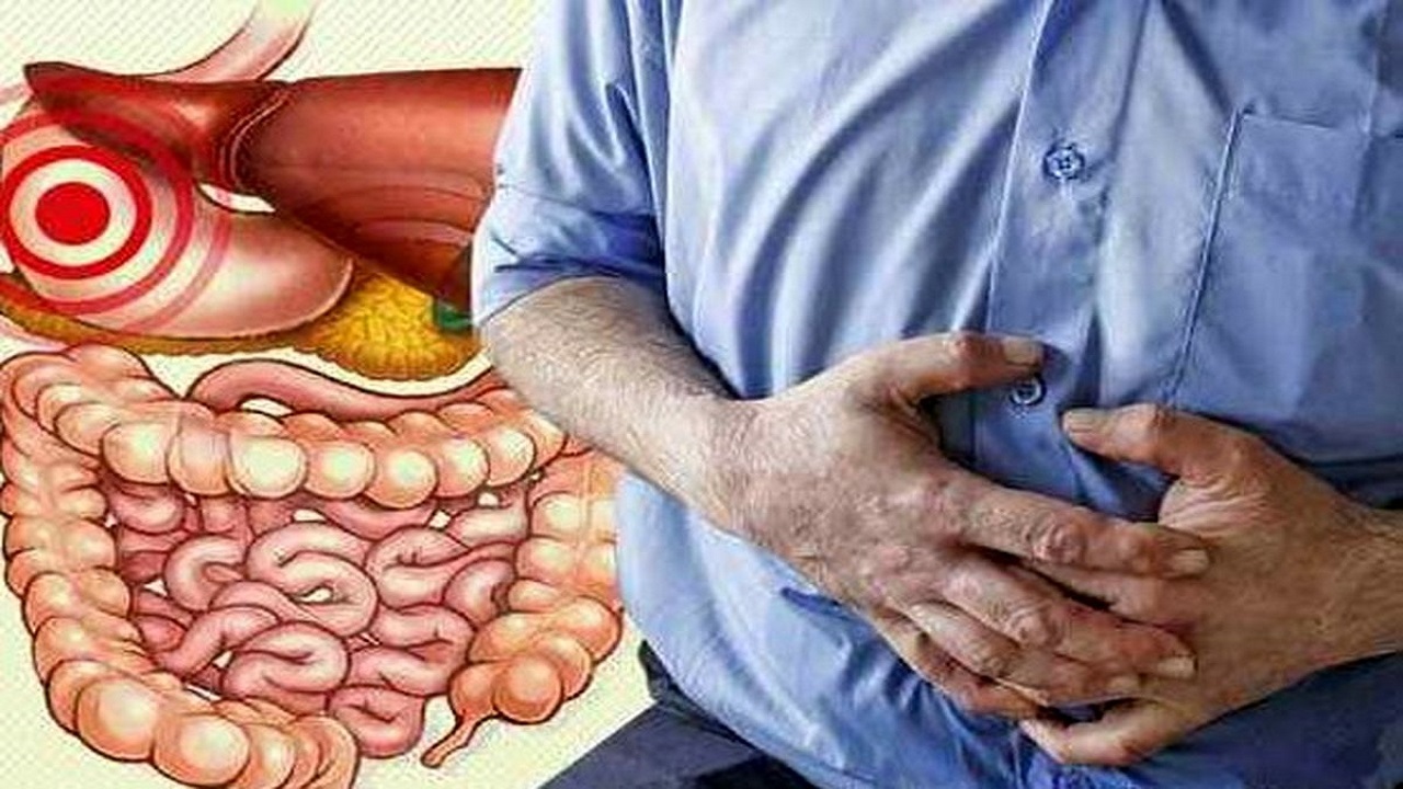 افزایش سن و پیری دو فاکتور مهم و موثر در بیماری روده