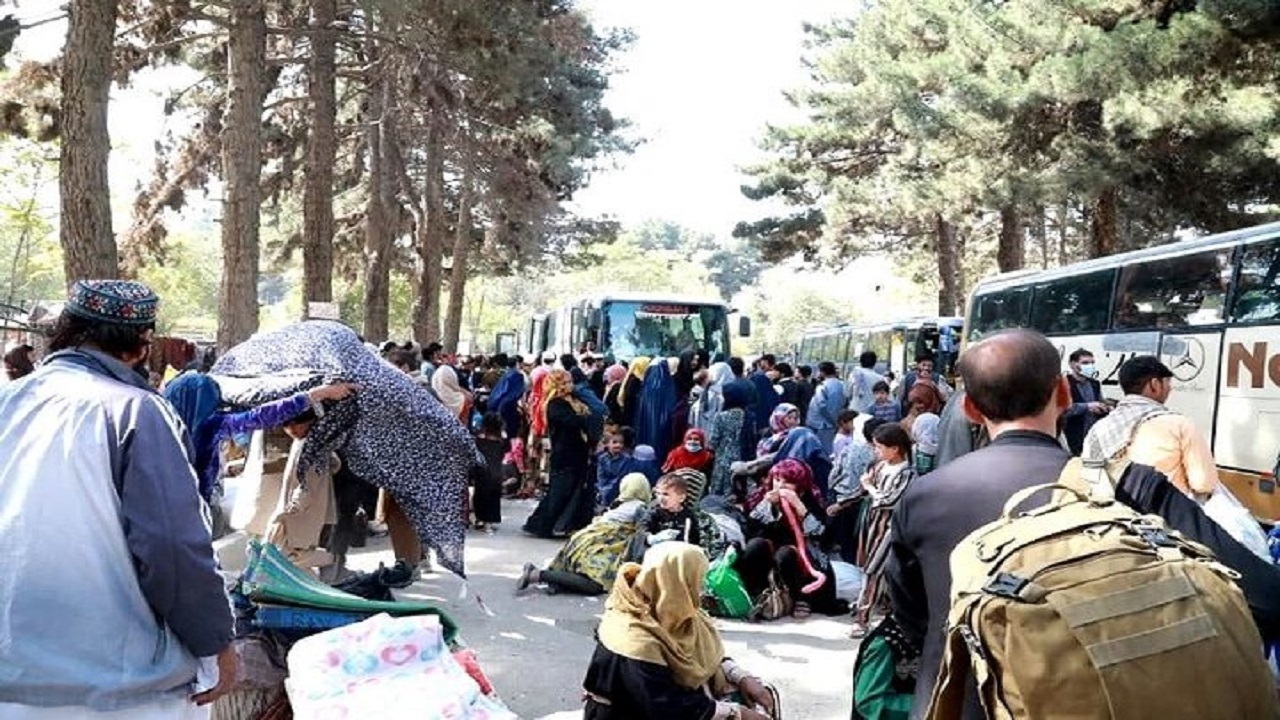 آوارگان جنگ به ولایاتشان منتقل می شوند