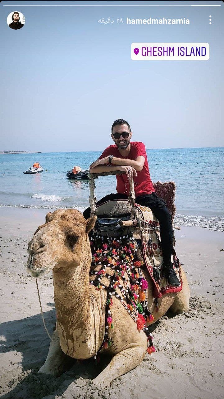 شترسواری حامد محضرنیا