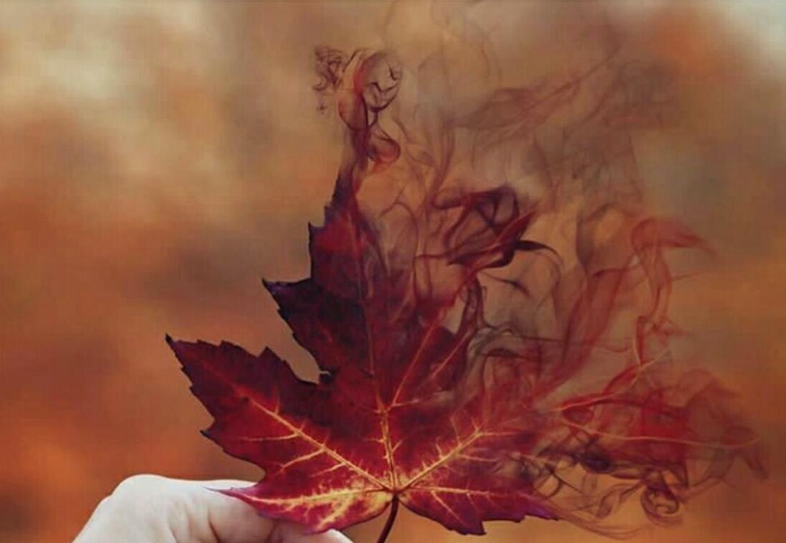 نفس اراک برای هشتاد و نهمین بار به شماره افتاد
