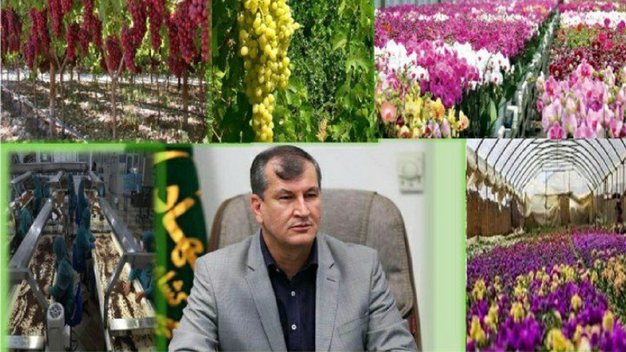 سفر یک روزه معاون وزیر جهاد کشاورزی به استان مرکزی