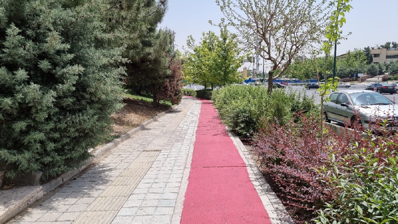 از توسعه فضای سبزشهری تا مناسب سازی معابرشهری