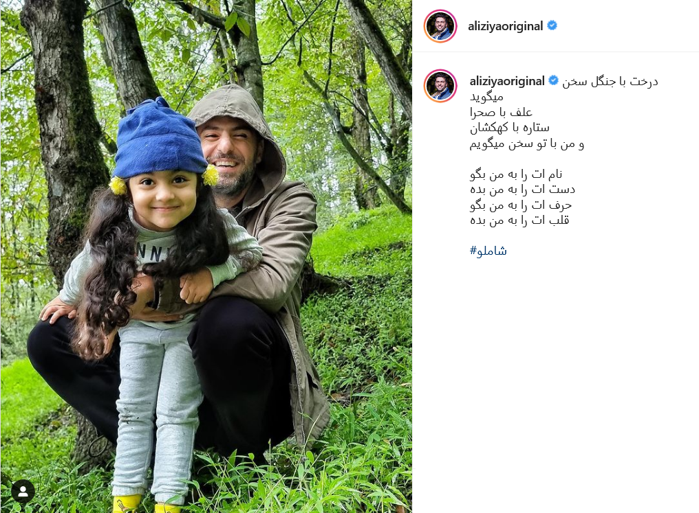 پست ضیا