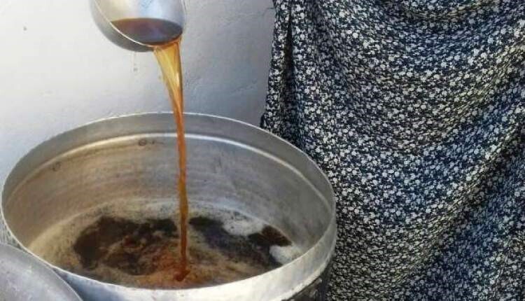 چرا به شمس الشموس ضامن آهو می گویند؟