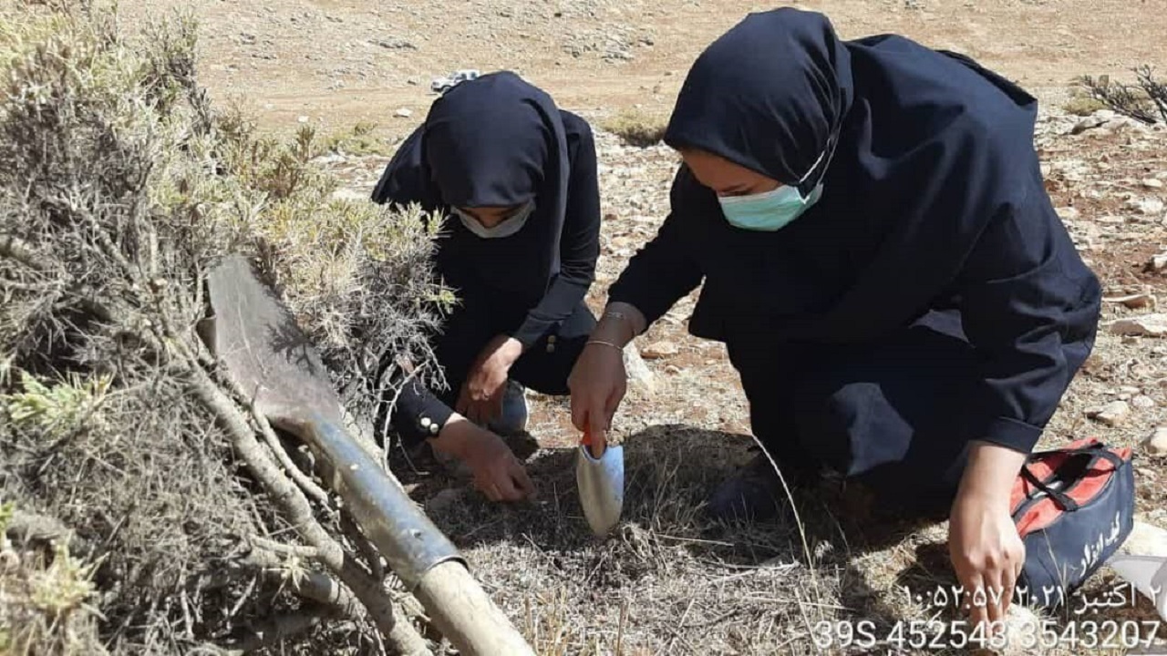 پایش اماکن تابستان گذران سن غلات در اردل