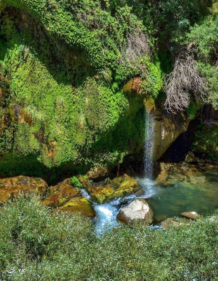 تنگه براق، بهشتی گمشده در شیراز + تصاویر