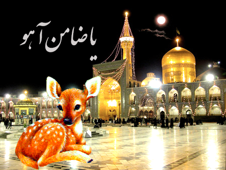 چرا به امام رضا (ع) ضامن آهو میگویند؟ چرا به امام رضا (ع) ضامن آهو میگویند؟