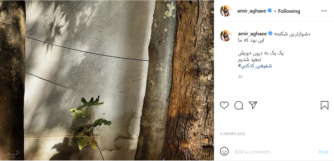 امیر آقایی