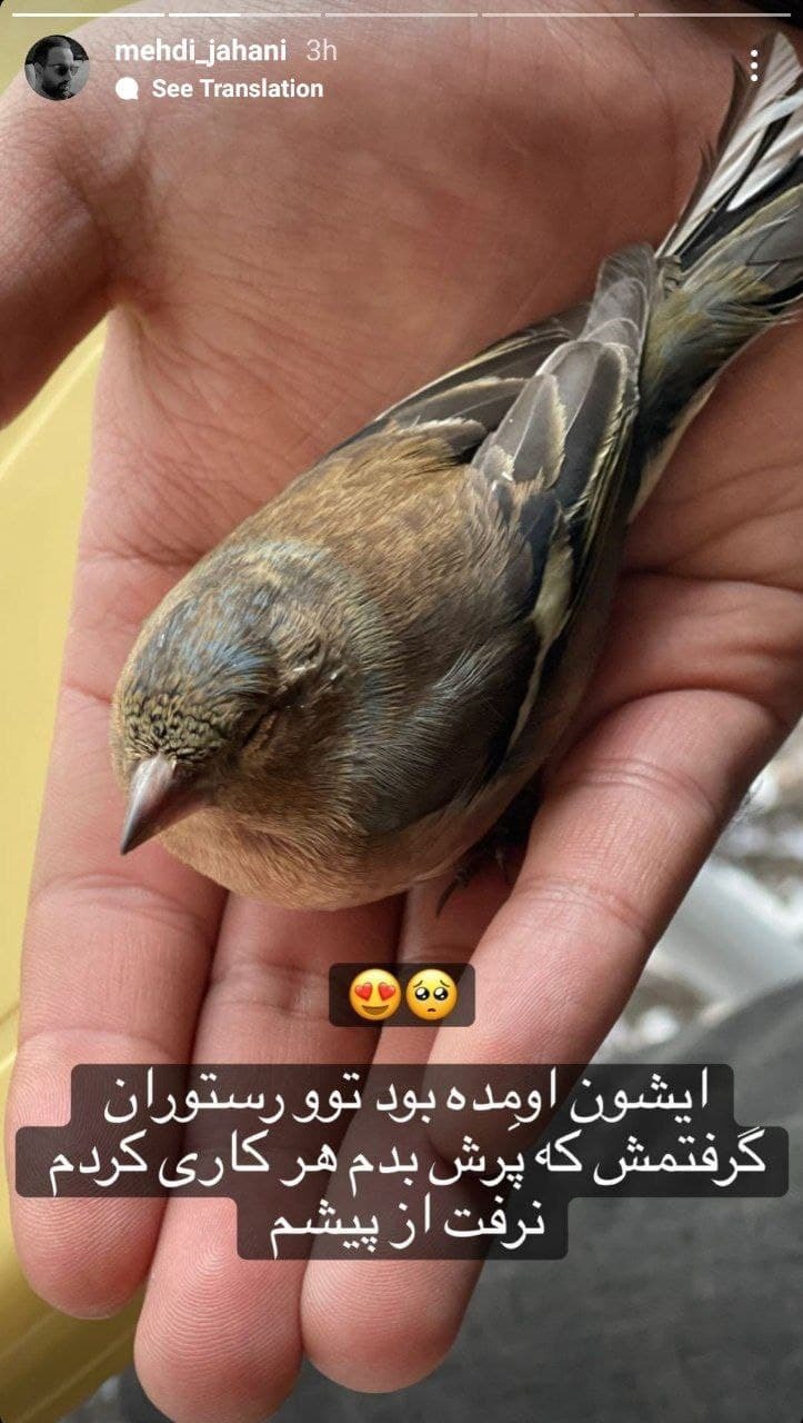 مهدی جهانی