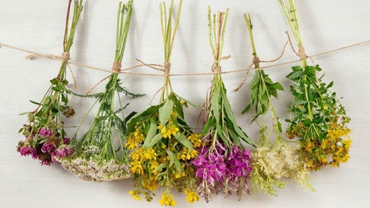 نحوه خشک کردن گل های طبیعی در خانه + عکس