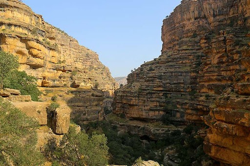 تنگه شیزر