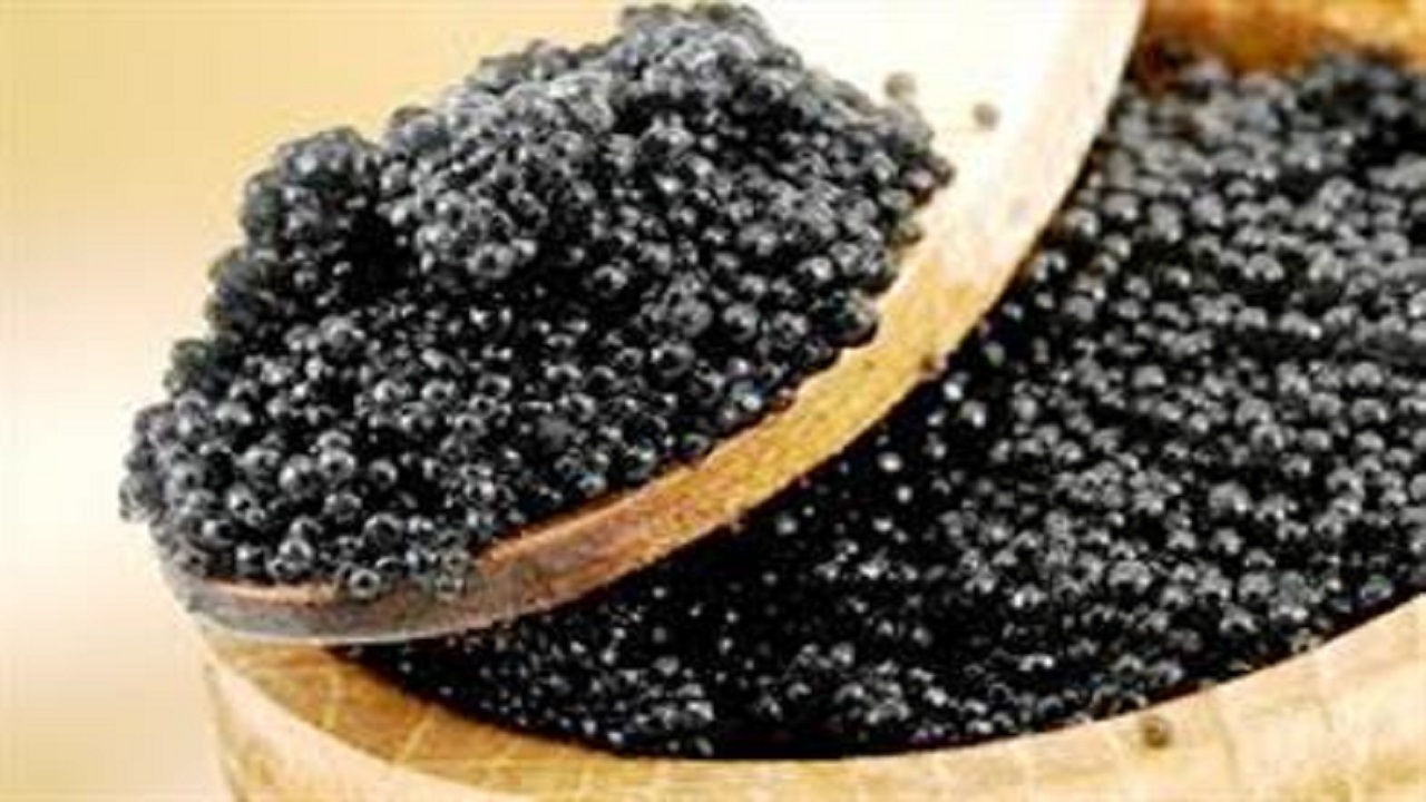 استحصال ۴۰ کیلوگرم خاویار پرورشی در اصفهان
