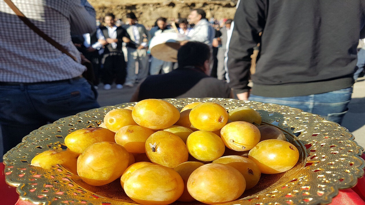 جشنواره آلو و غذا‌های بومی محلی به میزبانی روستای «حیدره قاضی‌خان» برگزاری شد