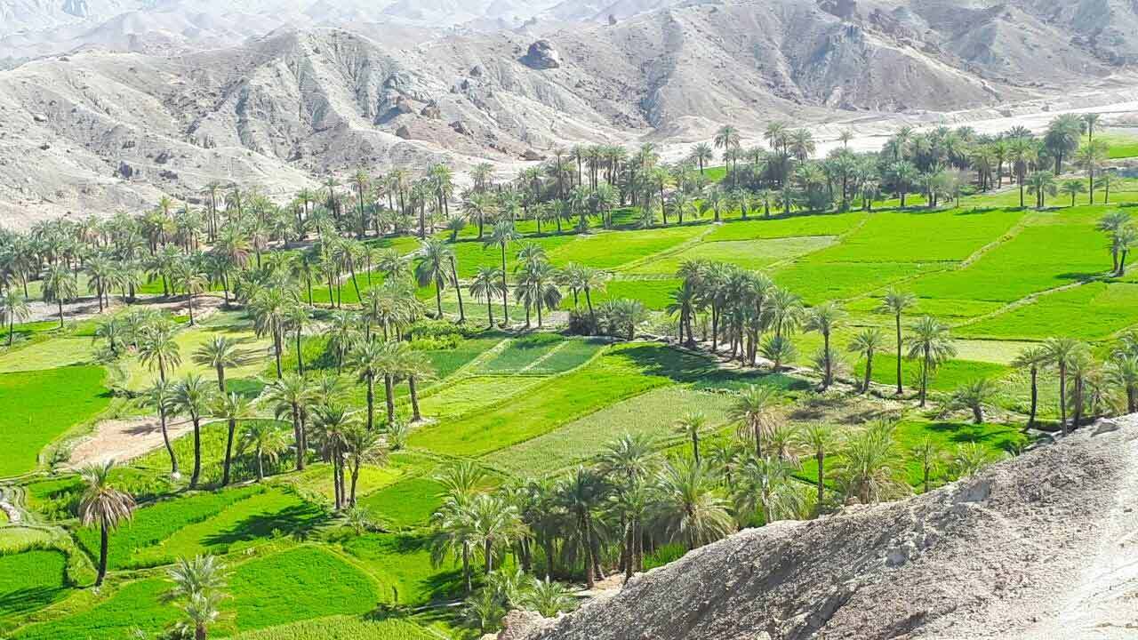 معرفی یک روستای زیبا با جاذبه‌های گردشگری در زاهدان + فیلم