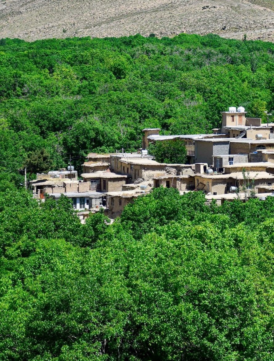 ماسوله ای در جنوب ایران! + عکس