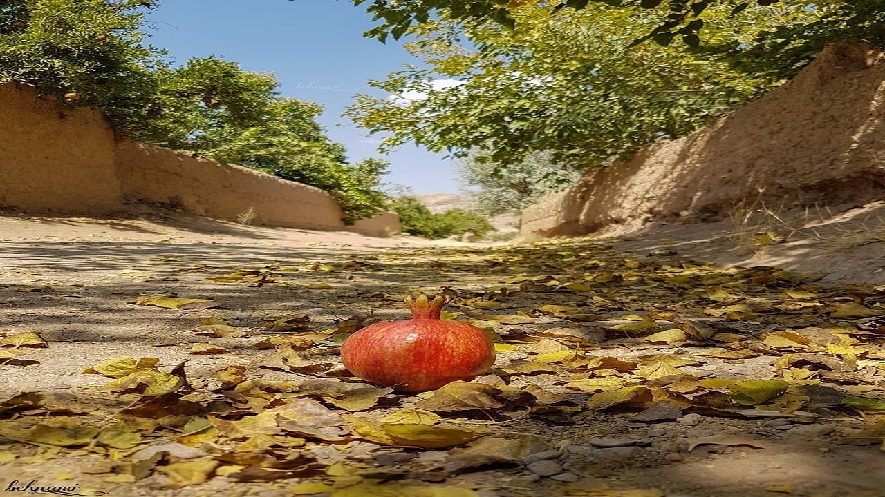 ماسوله ای در جنوب ایران + تصاویر ماسوله ای در جنوب ایران + تصاویر