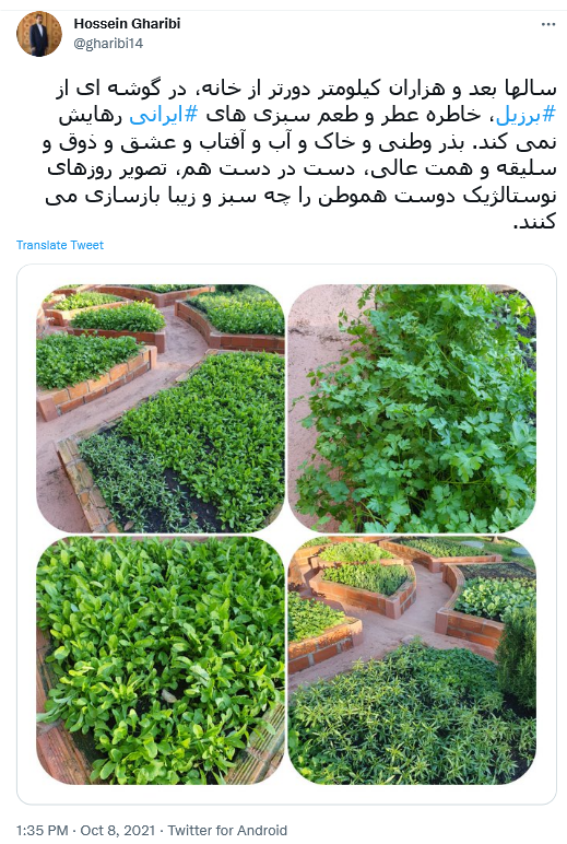 توئیت غریبی
