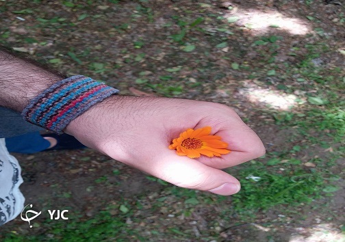 جاجیم زینتی