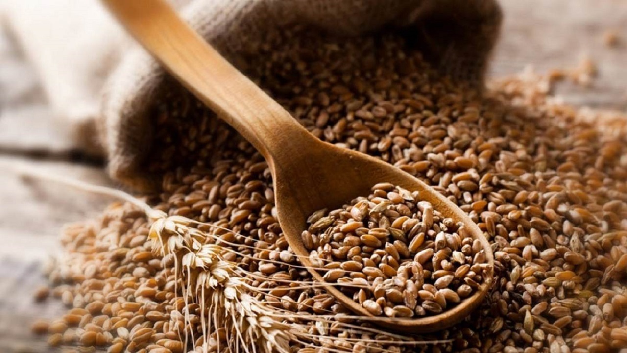ذخیره ۴۵۰ هزار تن گندم و روغن در انبار‌های بندر امام خمینی (ره)