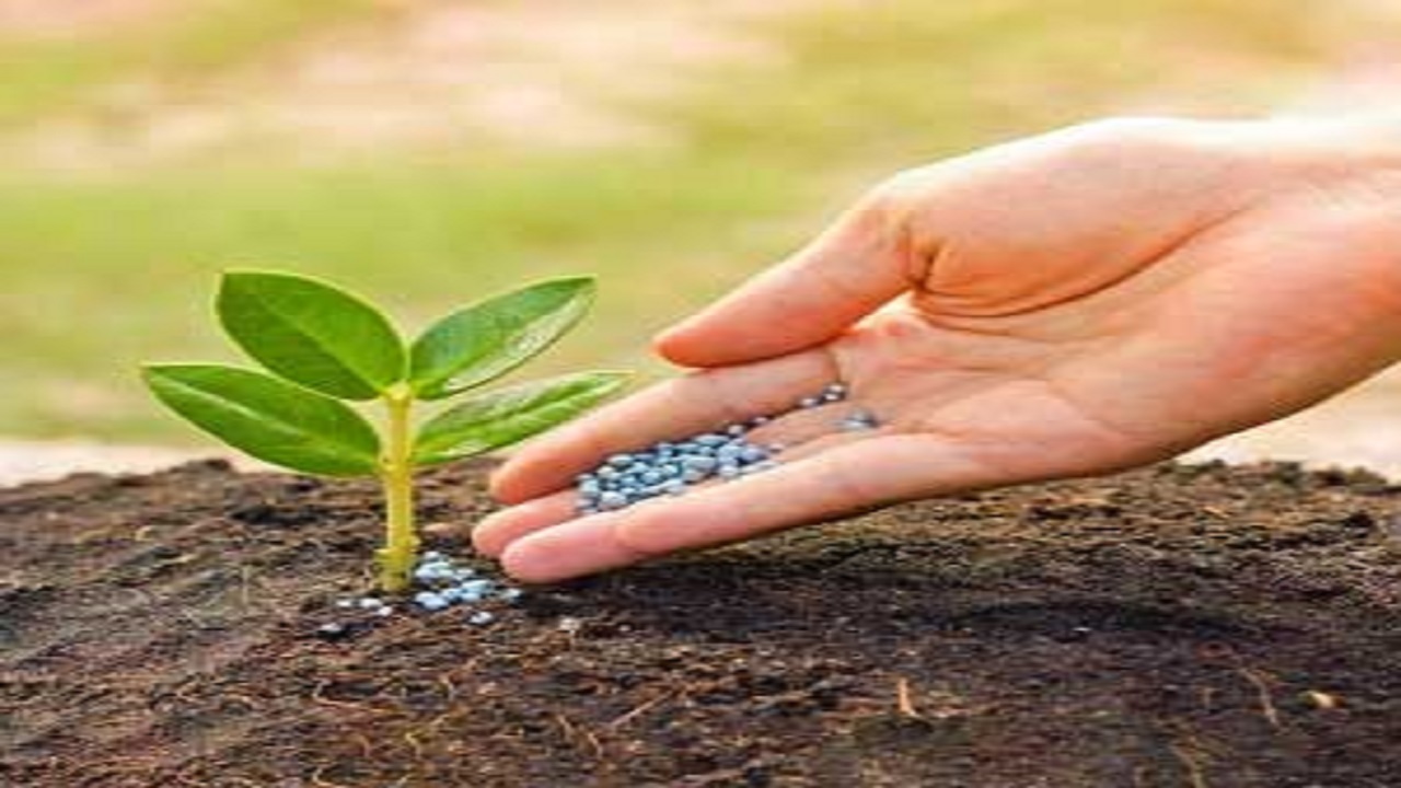 کودشیمیایی در سیستان و بلوچستان الکترونیکی توزیع می شود