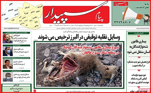 پیام سپیدار