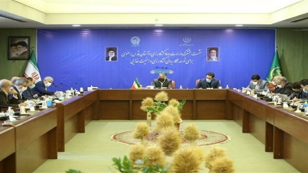 توافق دولت و آستان قدس رضوی برای توسعه همکاری‌ها در عرصه کشاورزی