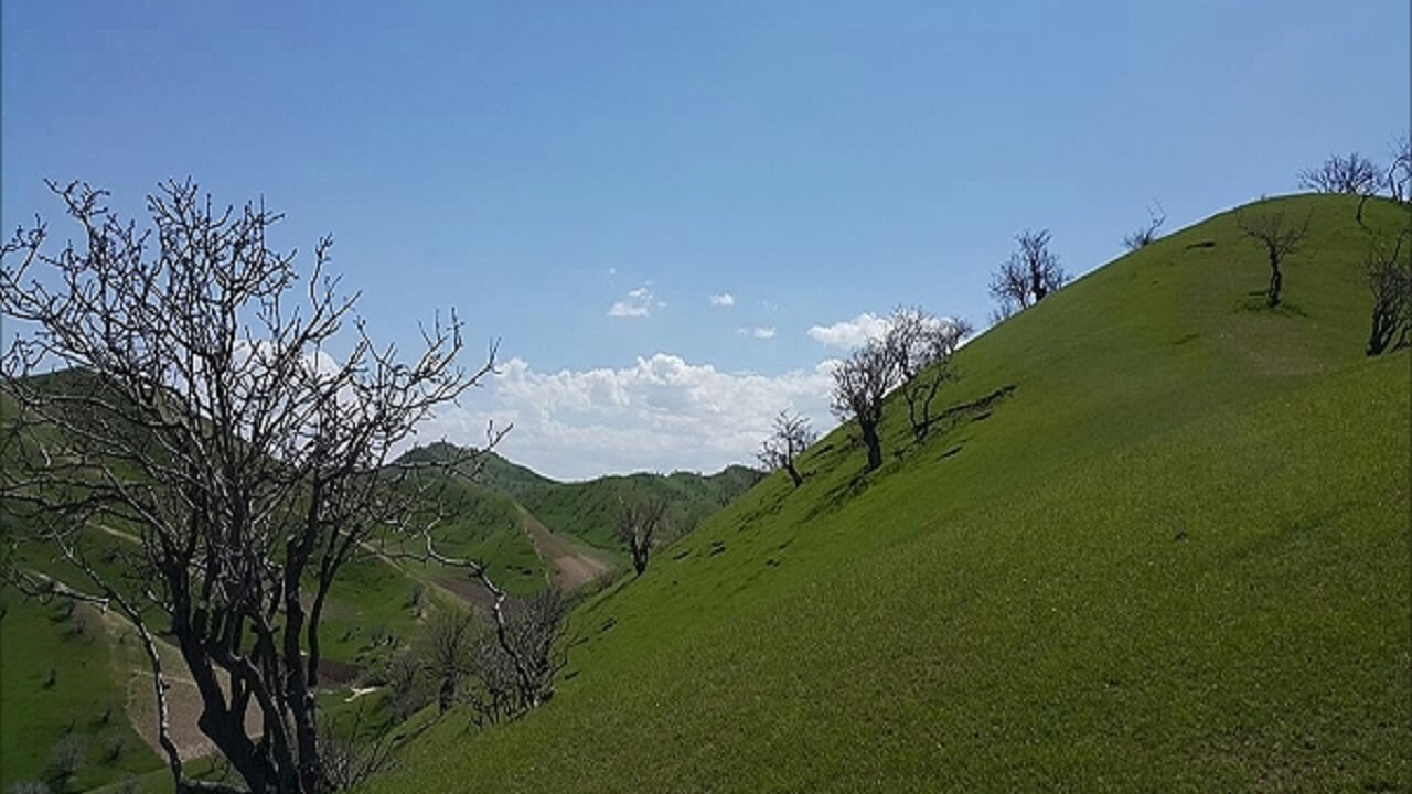 خشکسالی زراعت بادغیس را نابود کرد
