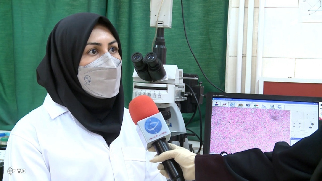 نجمه داوودیان دکترای تخصصی مامایی و بیماری&zwnj;های تولیدمثل دام