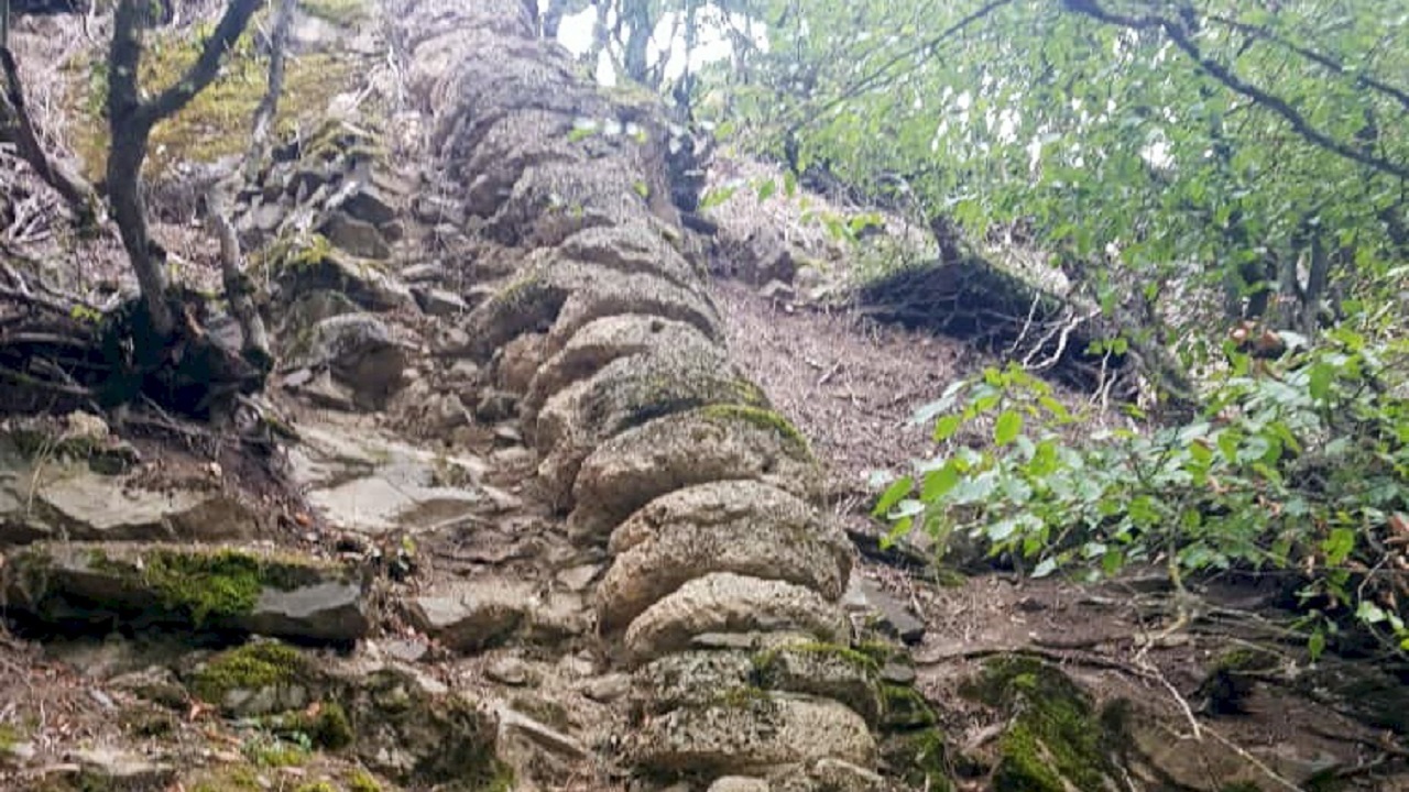 شناسایی آثار تاریخی از عصر آهن در روستای دارستان رودبار