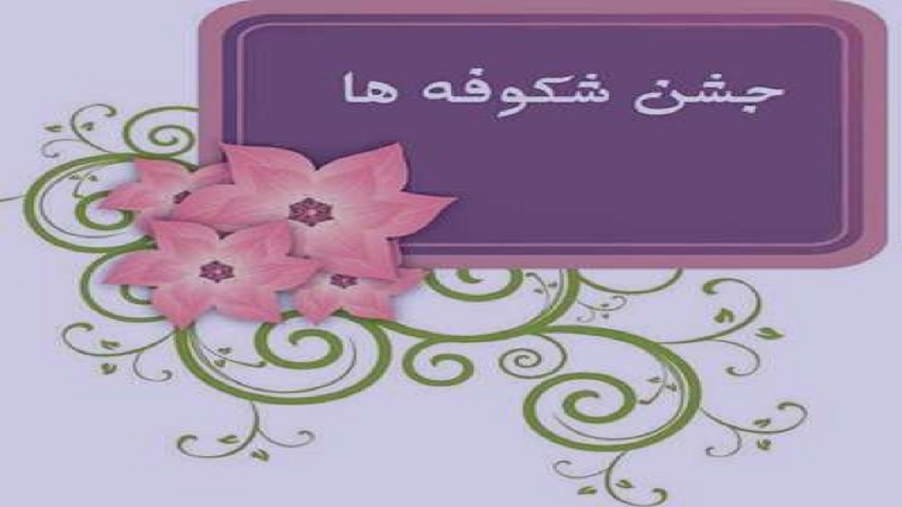 خوش آمد گویی دانش آموز شاهرودی در روز جشن شکوفه‌ها + فیلم