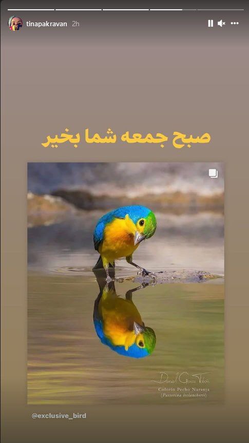 خاطره بازی سلمان فرخنده با سهراب سپهری؛ تبریک خانم بازیگر به پزشک برگزیده کشور؛ مطلب تامل برانگیز یوسف تیموری