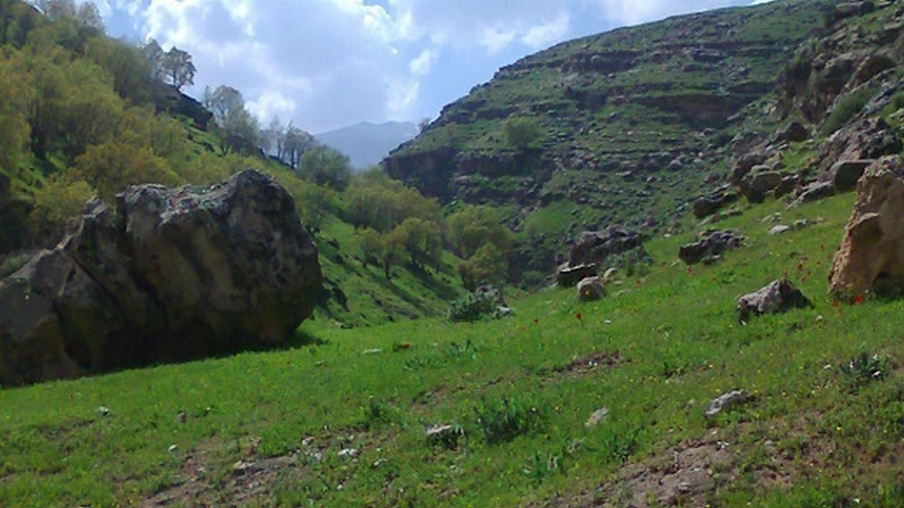 برگزاری طرح طبیعت گردی در سیروان