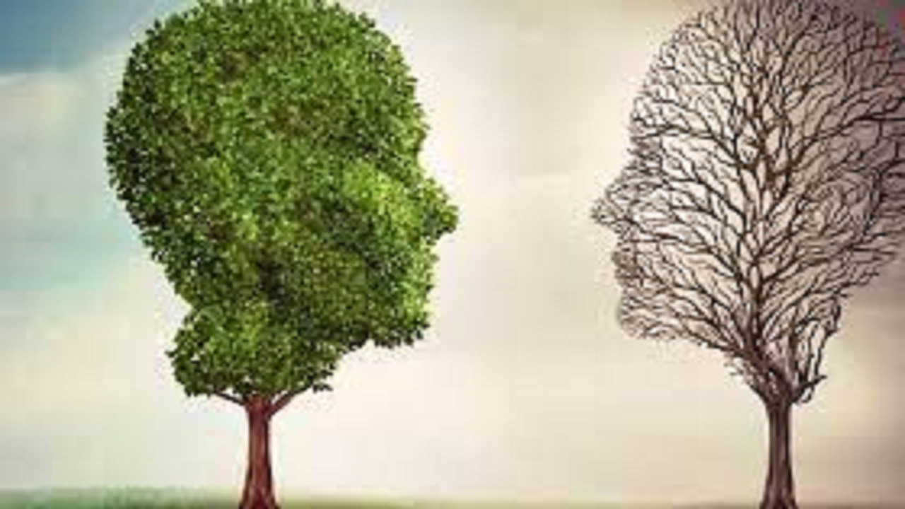 سلامت روان، ارزشمندترین سرمایه انسانی و اجتماعی