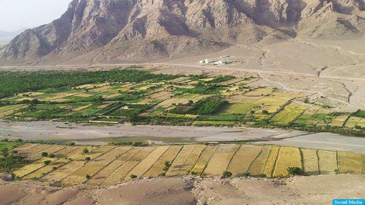 مقامات فراه خواستار فعالیت دوام‌دار موسسات بین المللی شدند