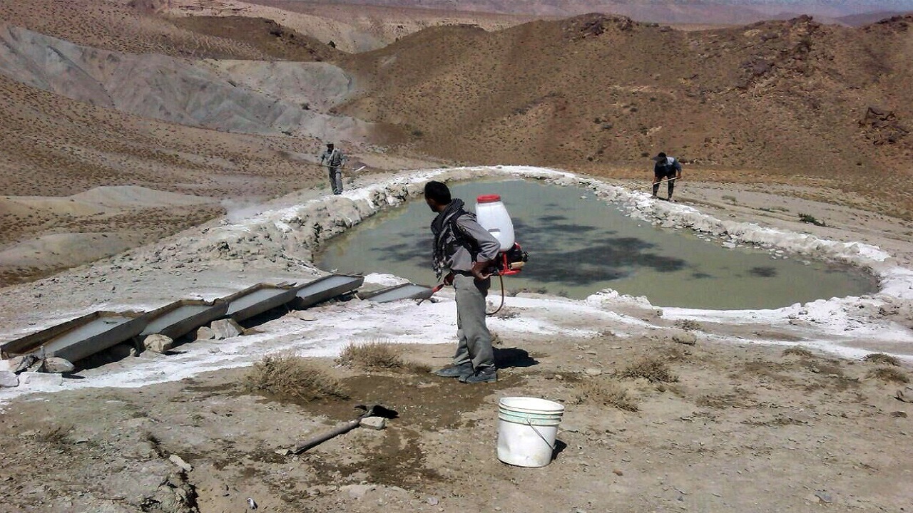 ضدعفونی و گندزدایی آبشخور‌های همدان برای پیشگیری از طاعون