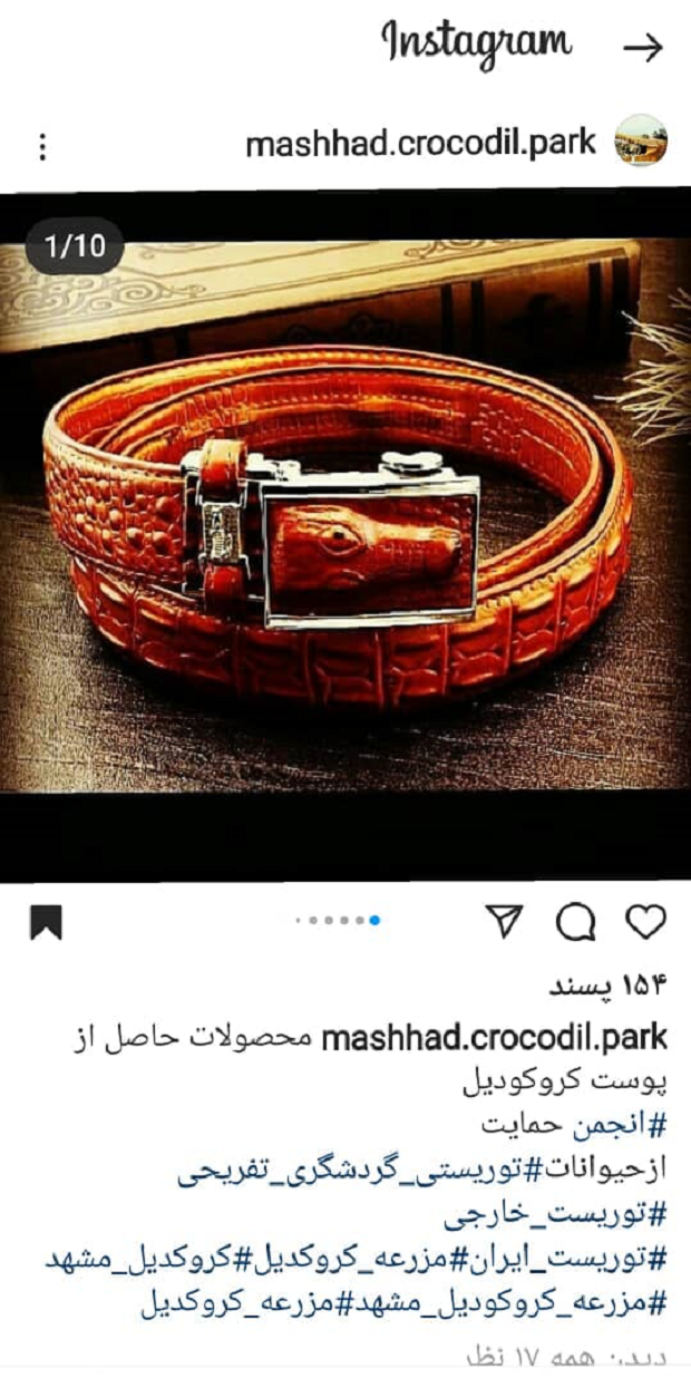 دم خروسی که از مزرعه کروکودیل مشهد بیرون زد/ از تناقض&zwnj;گویی مسئولان تا پست&zwnj;های اینستاگرامی مالک مزرعه
