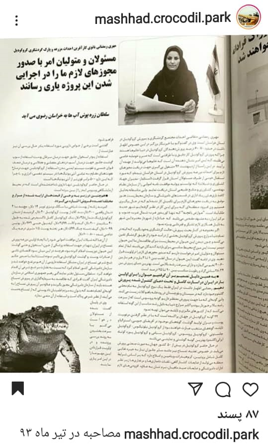 دم خروسی که از مزرعه کروکودیل مشهد بیرون زد/ از تناقض&zwnj;گویی مسئولان تا پست&zwnj;های اینستاگرامی مالک مزرعه