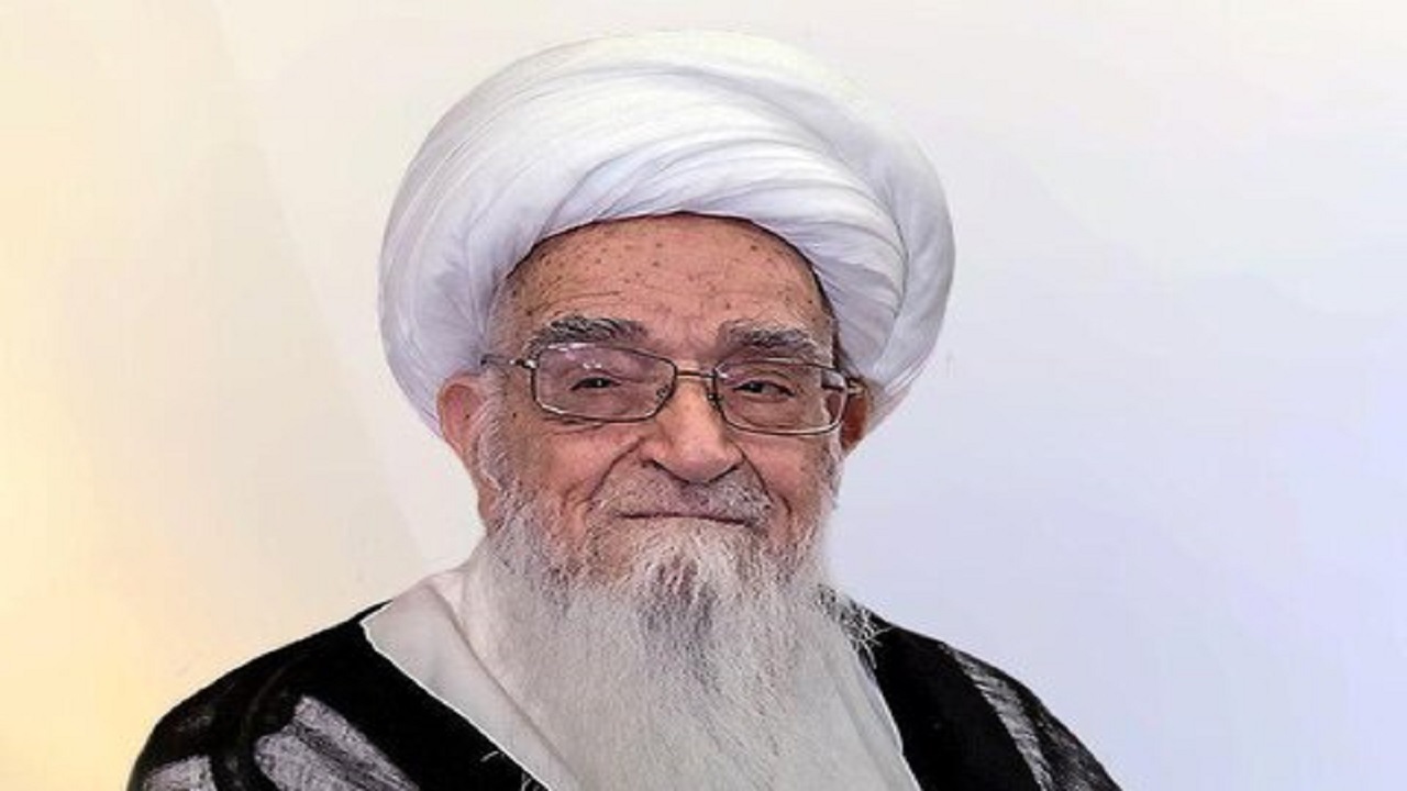آیت الله صافی گلپایگانی از استاد محقق داماد تشکر کرد