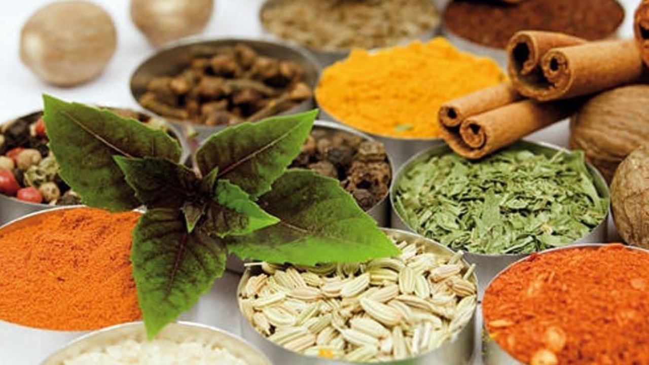 نمایان شدن متخصص نما‌ها با روپوشی سفید / وقتی پزشکان قلابی با سلامتی مردم کاسبی می‌کنند