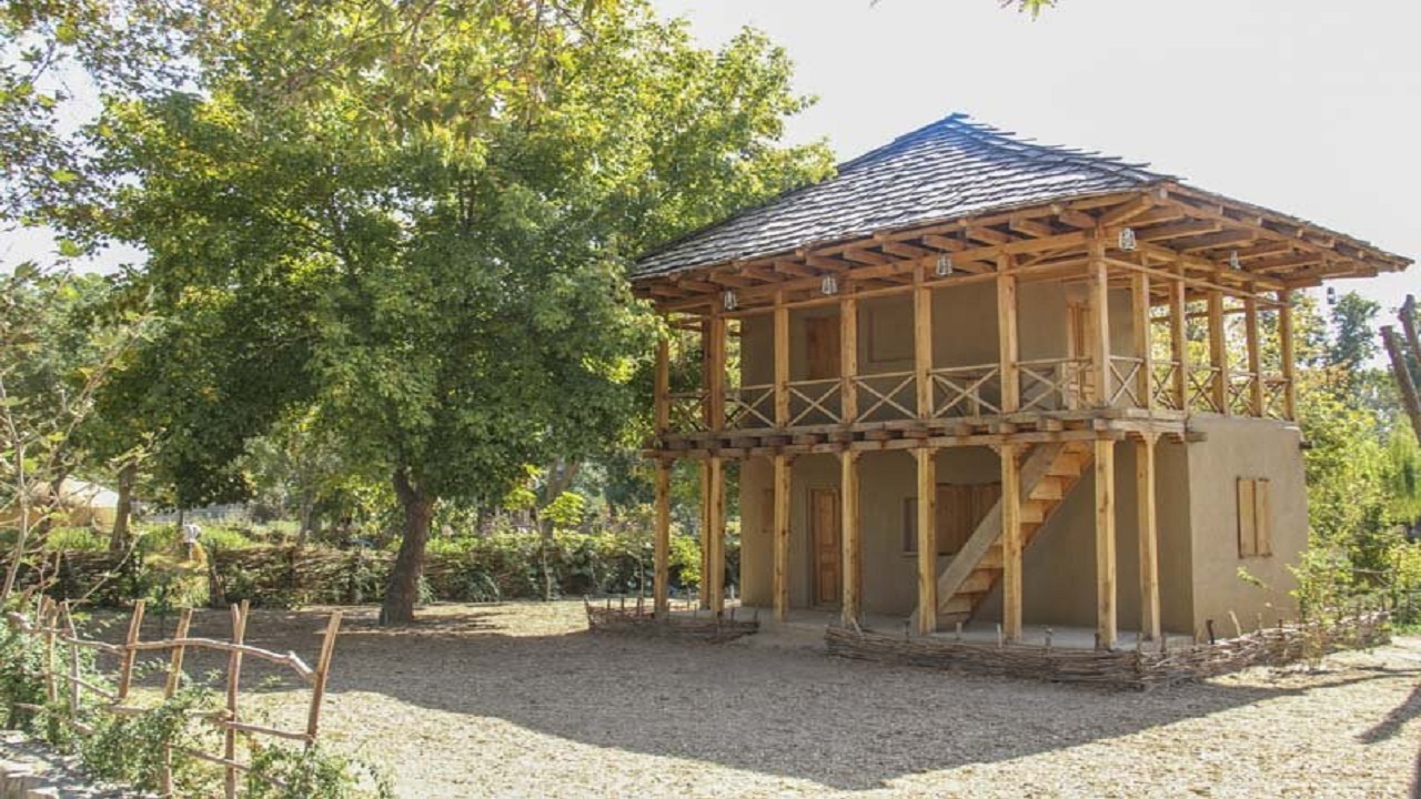 برداشت برنج به روش سنتی در پارک ایران کوچک +تصاویر