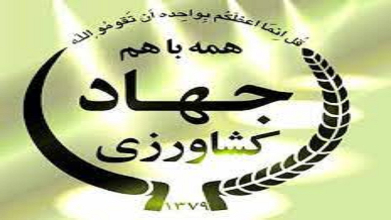 تولید سالانه یک میلیون و ۶۰۰ هزار تن محصول غذایی