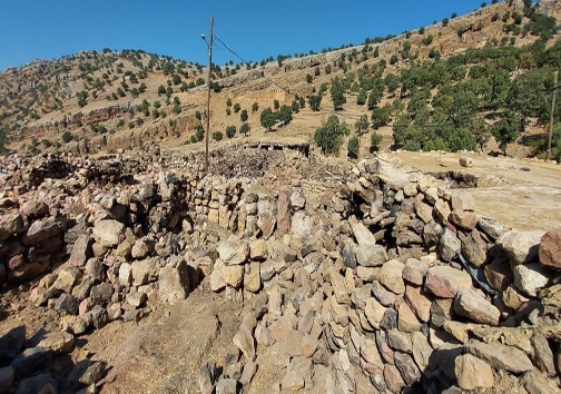 خسارت کامل به ۶۲۰ منزل مسکونی در زلزله اندیکا/ سازمان بسیج به کمک زلزله زدگان آمد