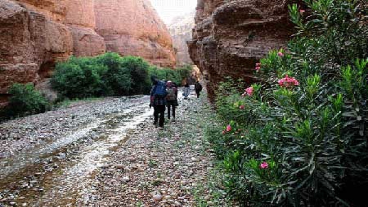 برخورد با برگزاری تور گردشگری با خودرو آفرود به دره توبیرون