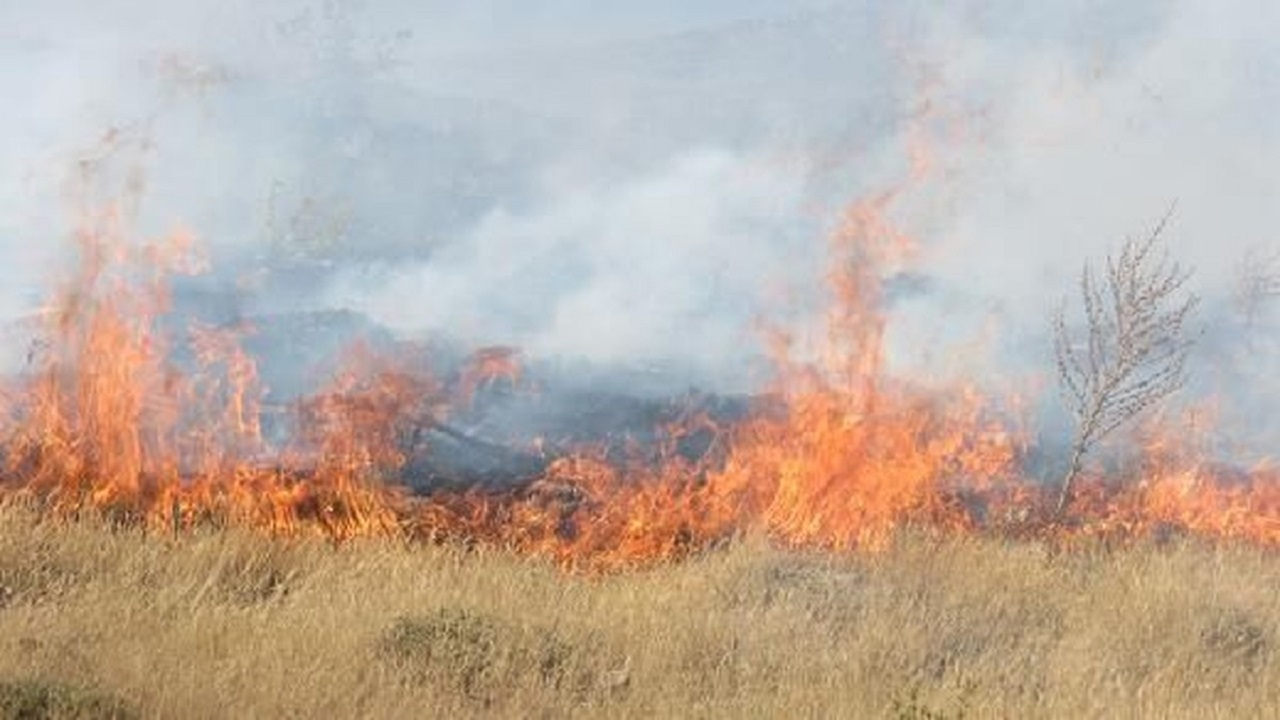 کاهش حریق در جنگل‌ها و مراتع خراسان رضوی